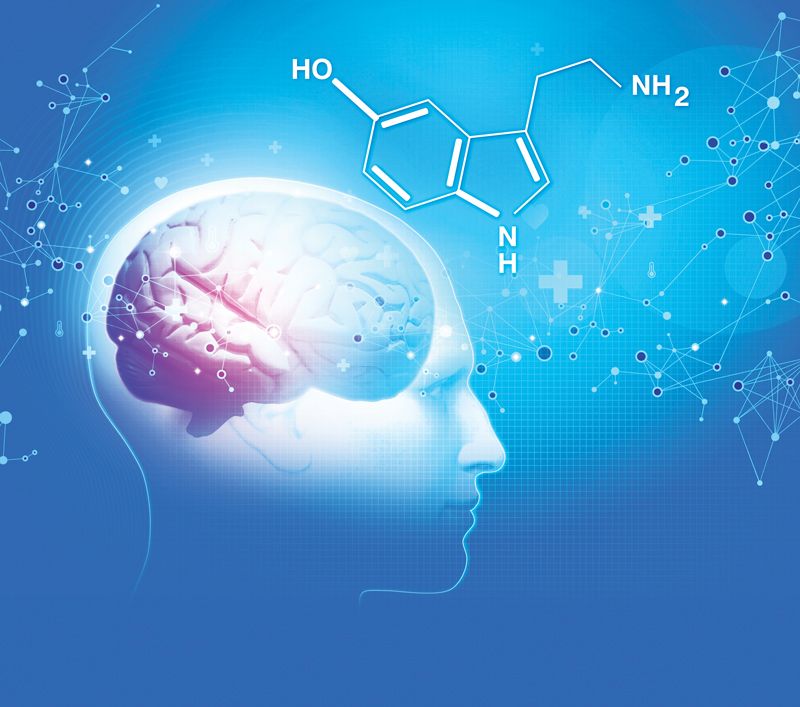 نقش سروتونین